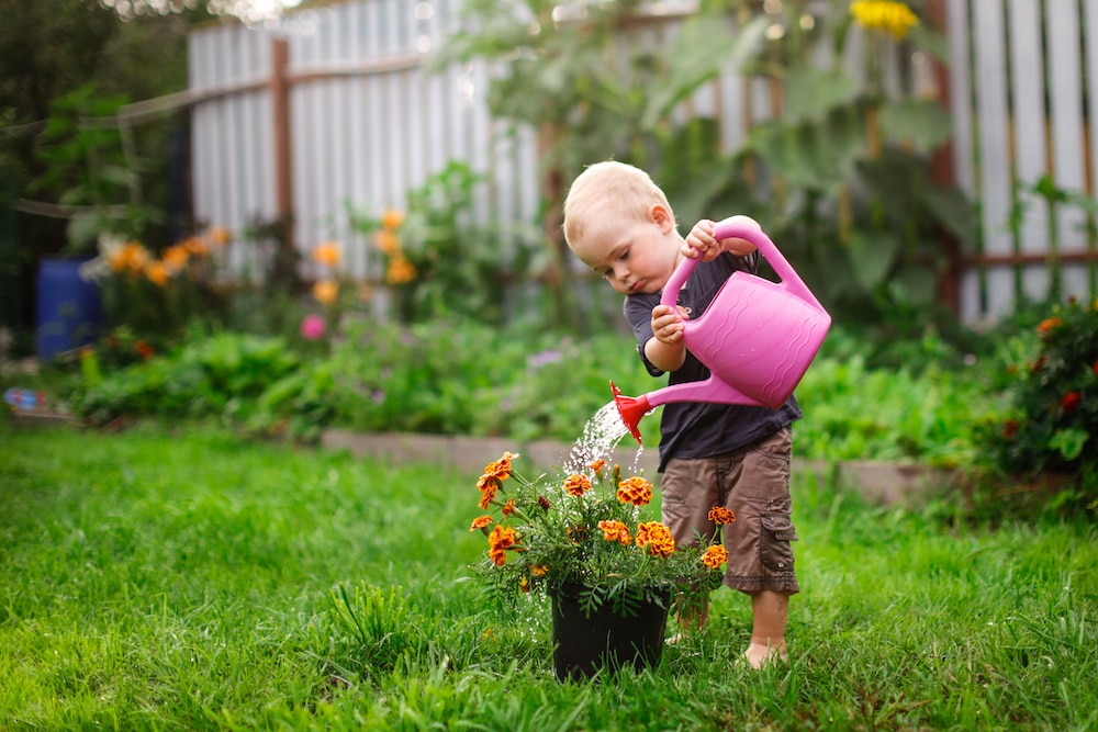 Green thumbs up: gardening adventures for little learners